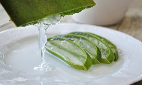aloe-4529704_1280 (1) Coconut Oil Hair Masks